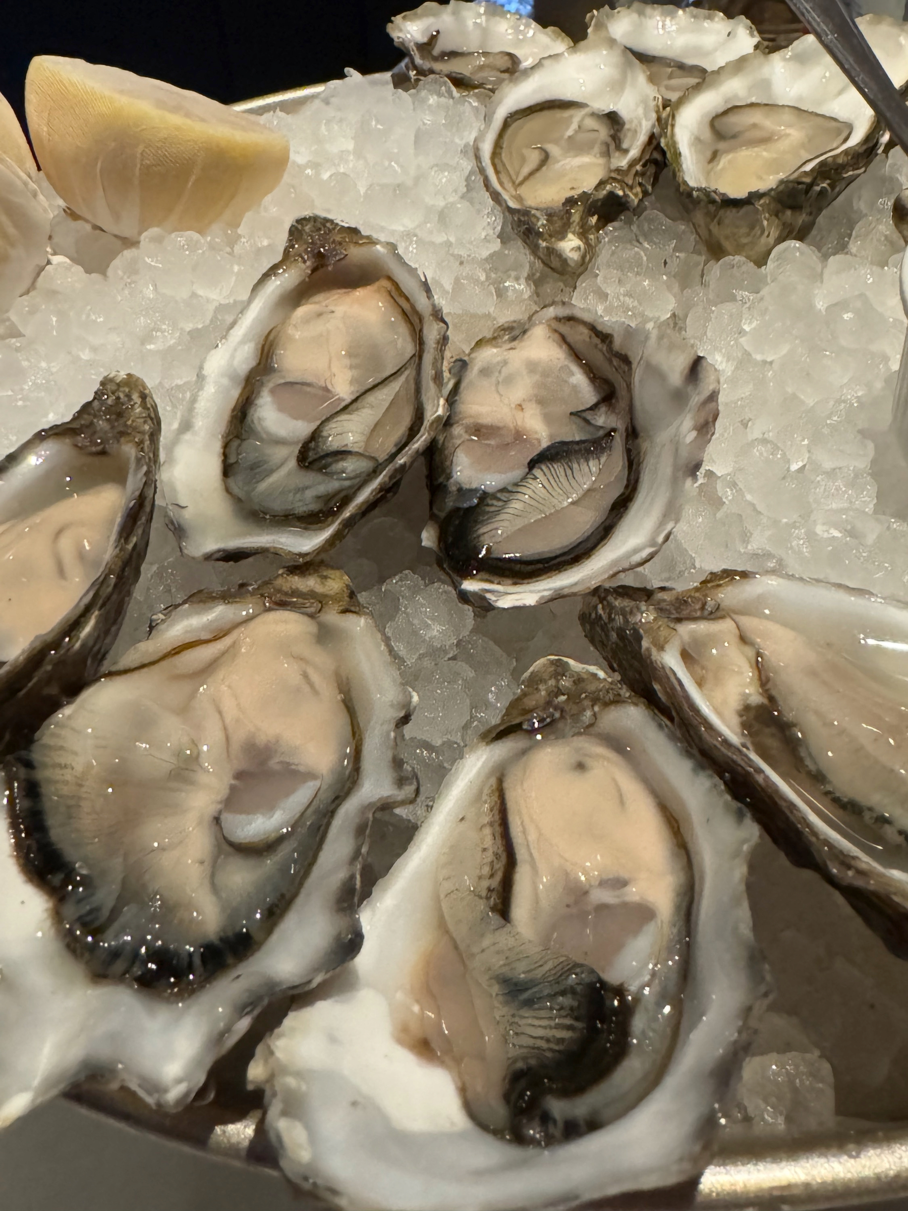 Freshly shucked oysters nestled in crushed ice, their glossy shells framing plump, translucent meat, with a lemon wedge tucked alongside for brightness and contrast.
