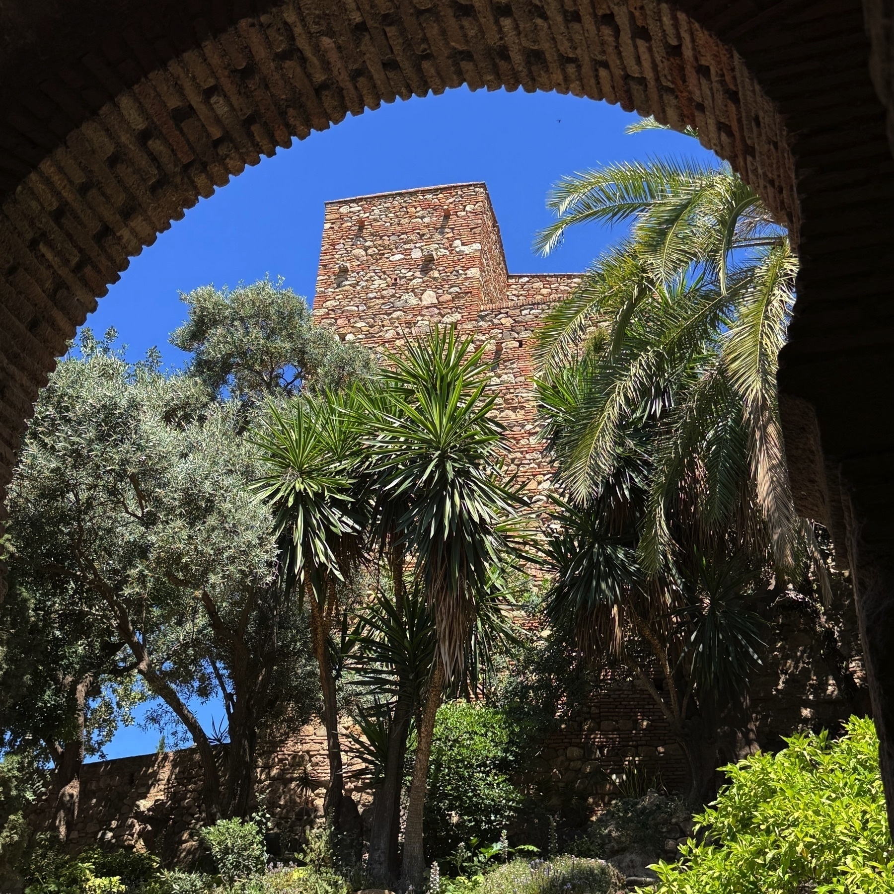 View through a stone archway into a lush garden filled with palm trees, yucca plants, and other greenery. In the background, the reddish stone walls of the Alcazaba rise against a deep blue sky.