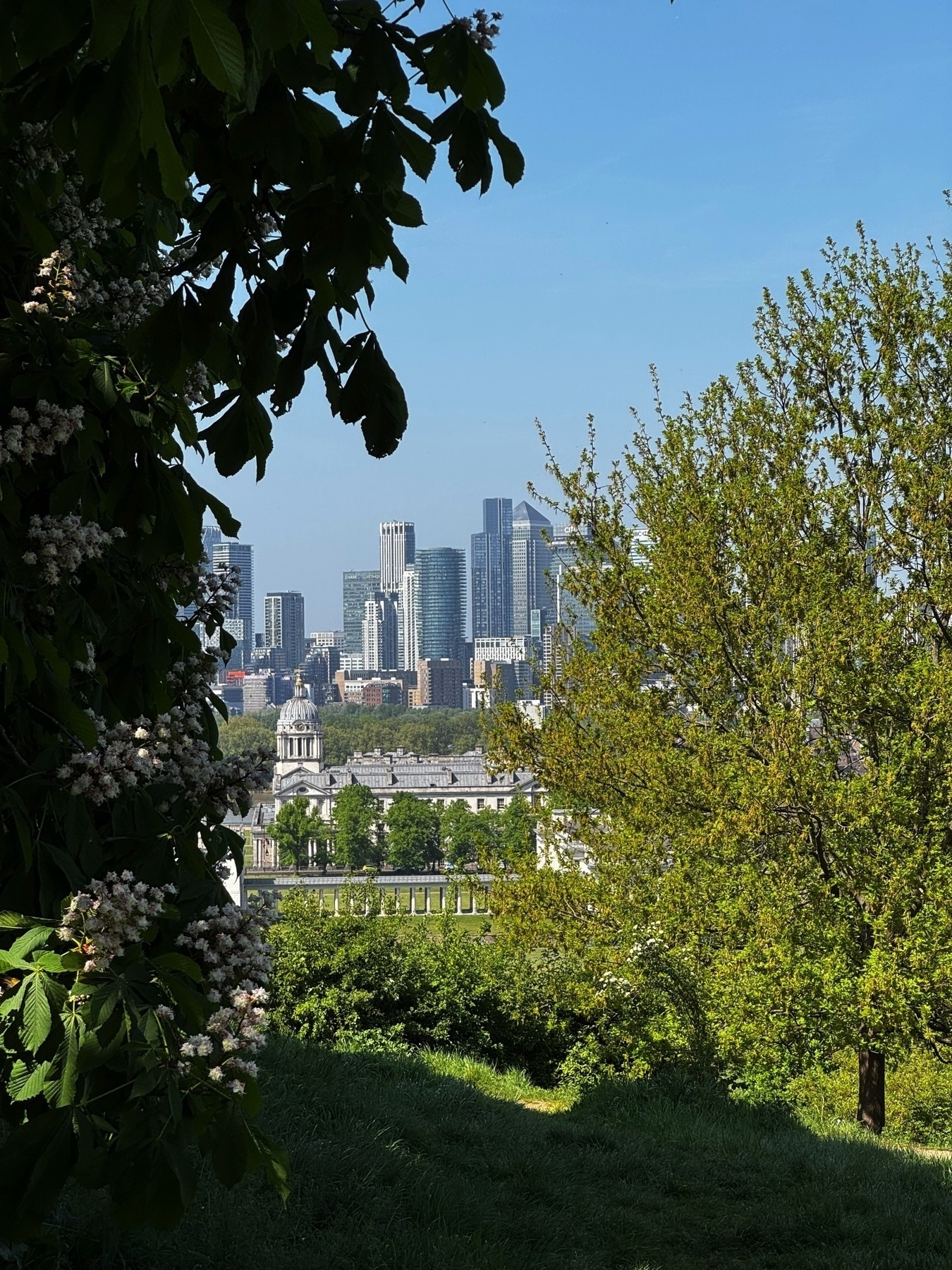 A leafy frame of flowering branches and green trees opens onto a partial view of the Old Royal Naval College and the high-rise buildings of Canary Wharf beyond. The image captures a layered contrast between the natural greenery in the foreground and the modern cityscape rising behind classical architecture.