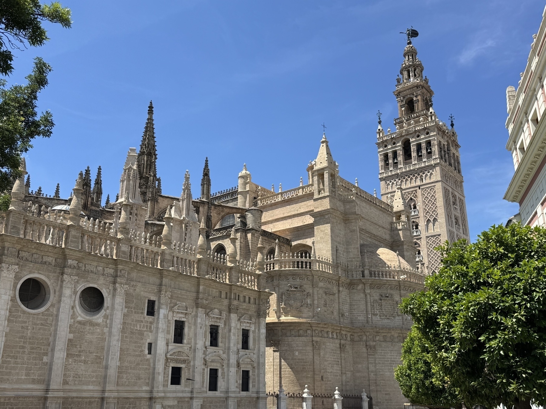 A wide view of the cathedral’s intricate Gothic façade with spiked pinnacles, ornate balustrades, and the towering La Giralda minaret rising in the background against a clear blue sky, partially framed by orange trees.