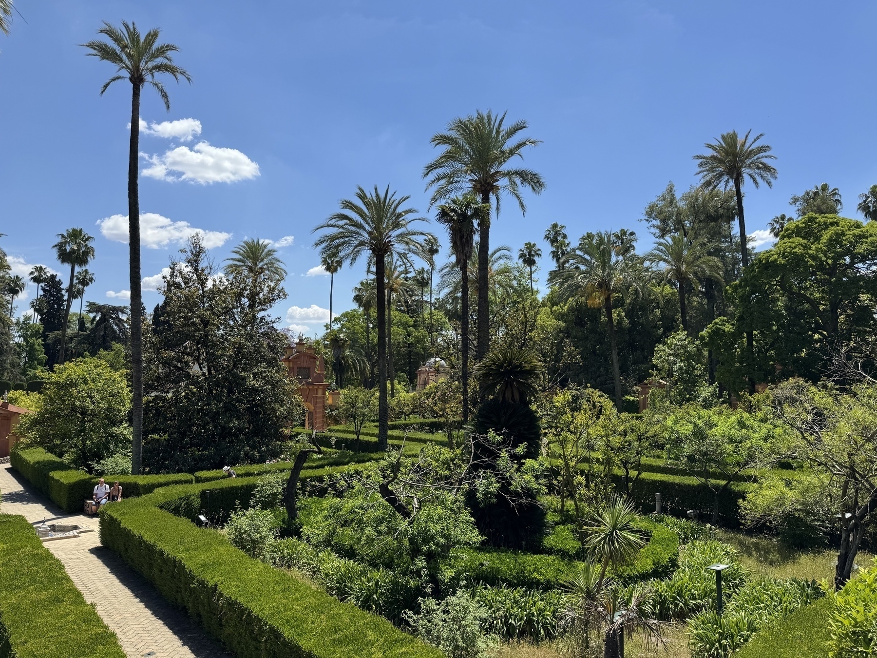 View of the palace gardens from the Galería de Grutescos, with palm trees, flowering shrubs, and sculpted hedges arranged in formal patterns. Brick pavilions and paths wind through the lush, Mediterranean-style landscape under a clear sky.