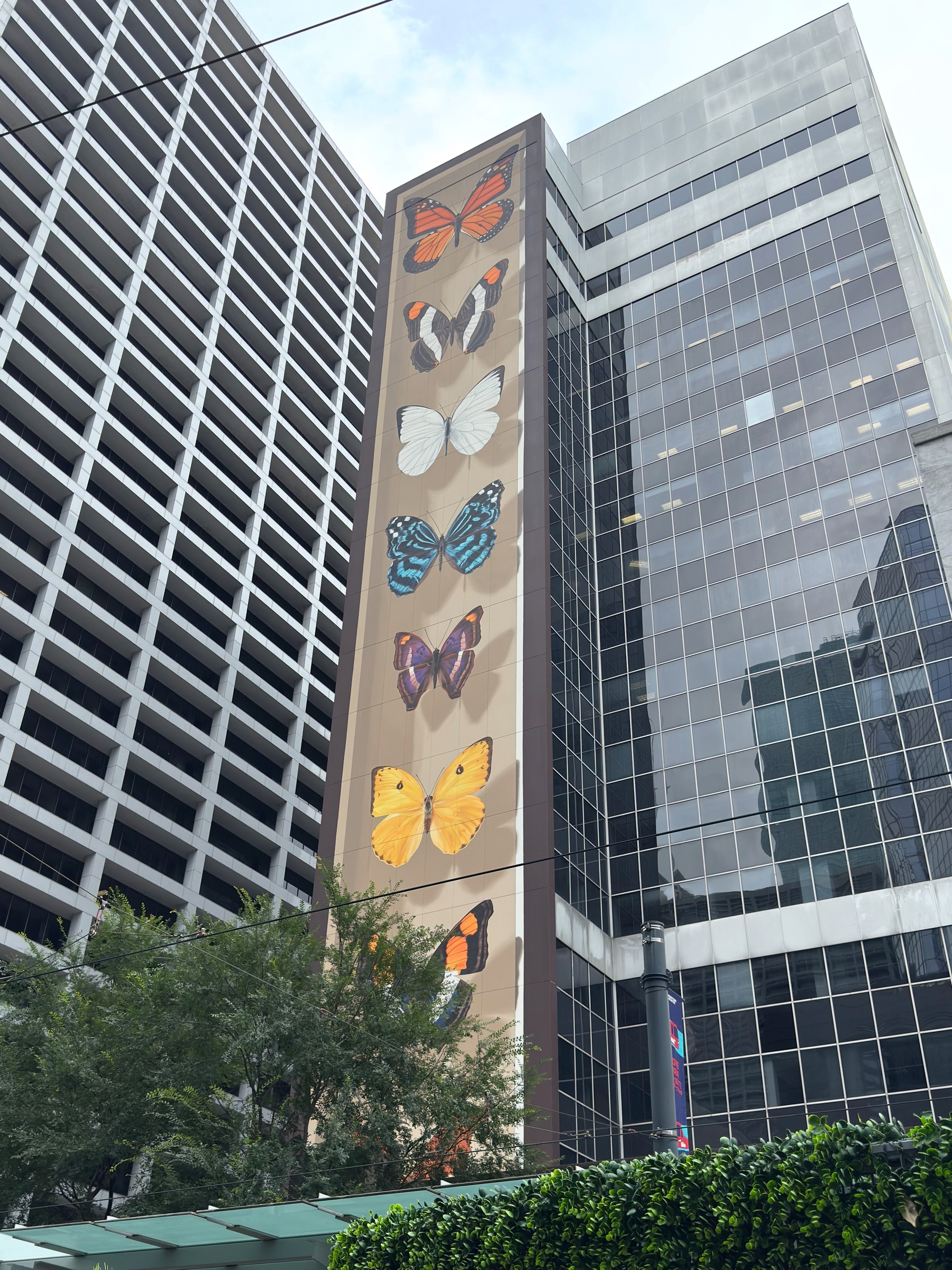 A tall vertical mural of vividly colored butterflies stacked in flight along the side of a high-rise building, contrasting with glass windows, concrete facades, and a cloudy urban sky.