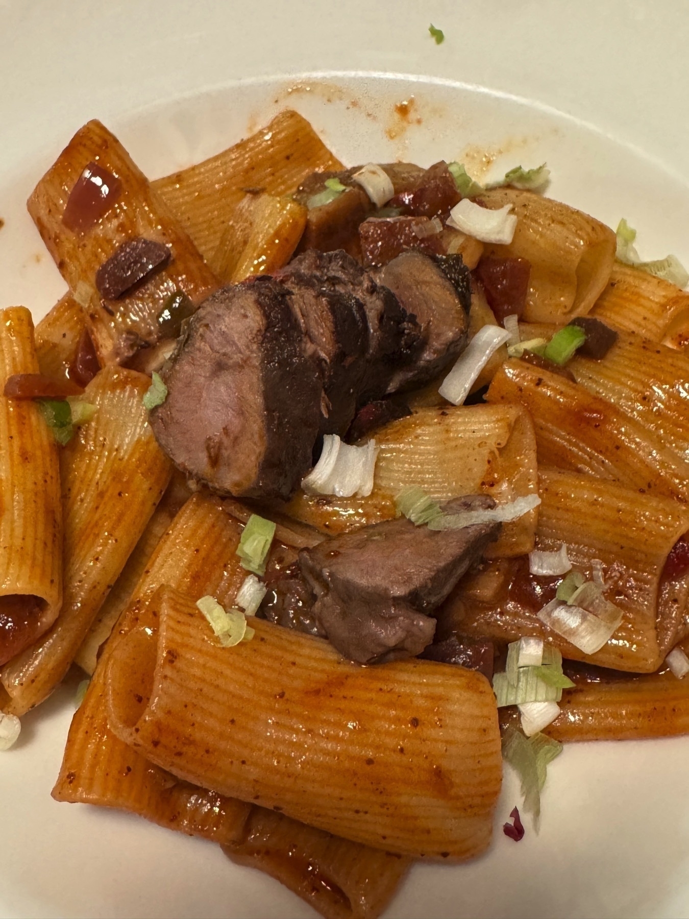 Dish of rigatoni pasta in a tomato-based sauce, topped with tender slices of braised pork and sprinkled with fresh scallions, emphasizing the hearty and comforting appeal.