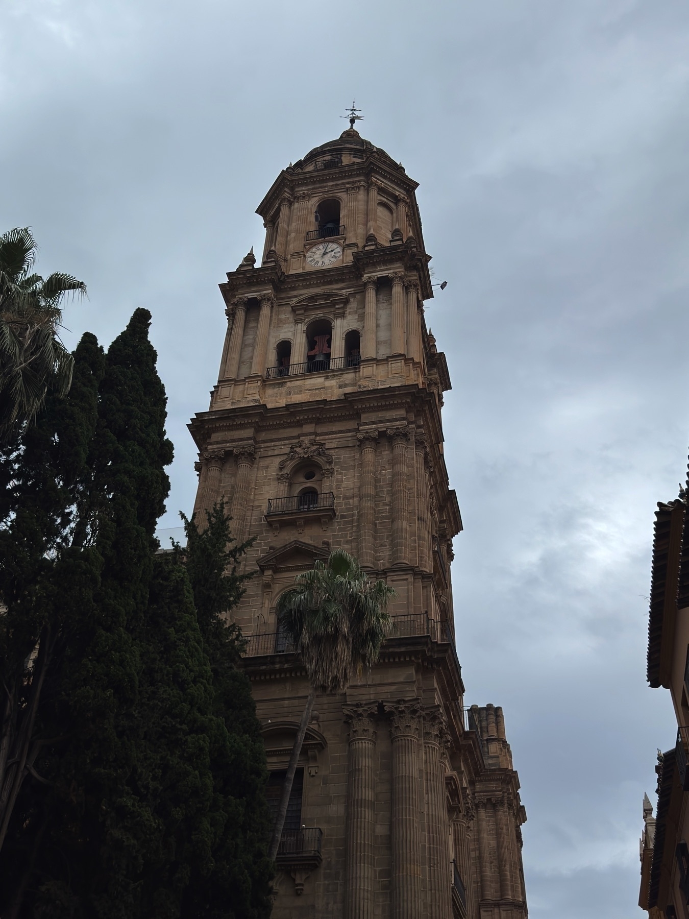 View of the Málaga Cathedral bell tower rising against an overcast sky, with its clock face, balconies, and neoclassical design elements visible. Lush green trees frame the tower from below, adding contrast to the stone structure.