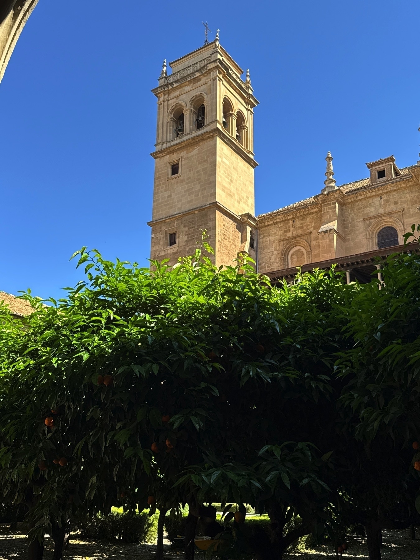 View of the bell tower rising above a courtyard of orange trees, with sunlight filtering through the foliage. The tower’s stone facade features arched openings and a small cross at the top, while the vibrant greenery below creates a serene contrast to the golden stone.