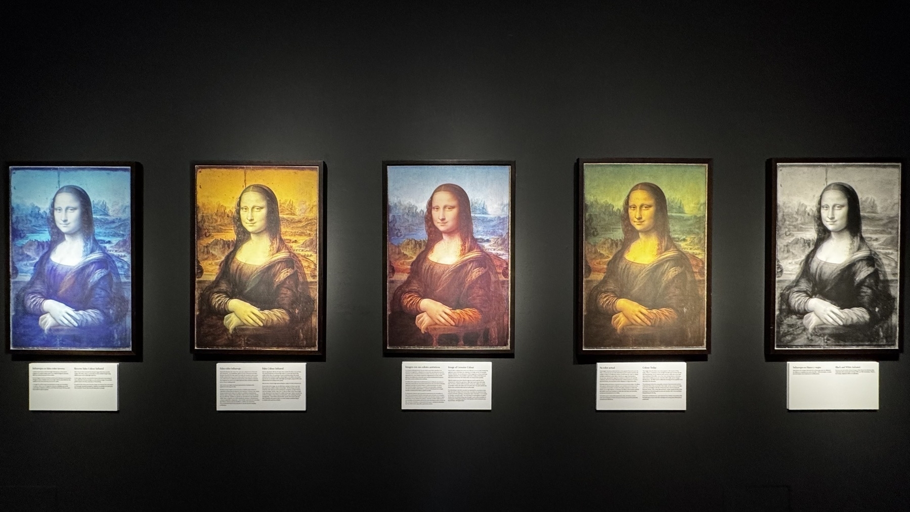 A row of five digitally altered versions of the Mona Lisa displayed at the Mona Lisa exhibition in Valencia’s City of Arts and Sciences, each representing different scientific analyses: infrared reflectography in blue, ultraviolet fluorescence in yellow, visible light in full color, false color infrared in green tones, and X-ray imaging in black and white—highlighting how modern technology reveals layers beneath the surface of the painting.