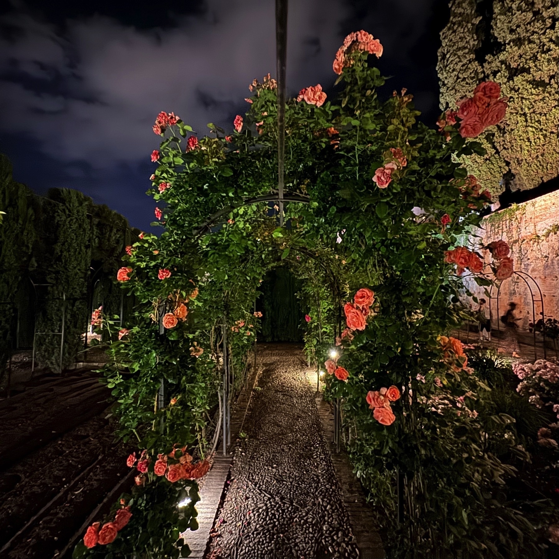 A rose-covered archway in the Generalife gardens at night, with clusters of coral-pink blooms climbing a metal trellis over a pebbled path, surrounded by rows of trimmed hedges and dark cypress trees.