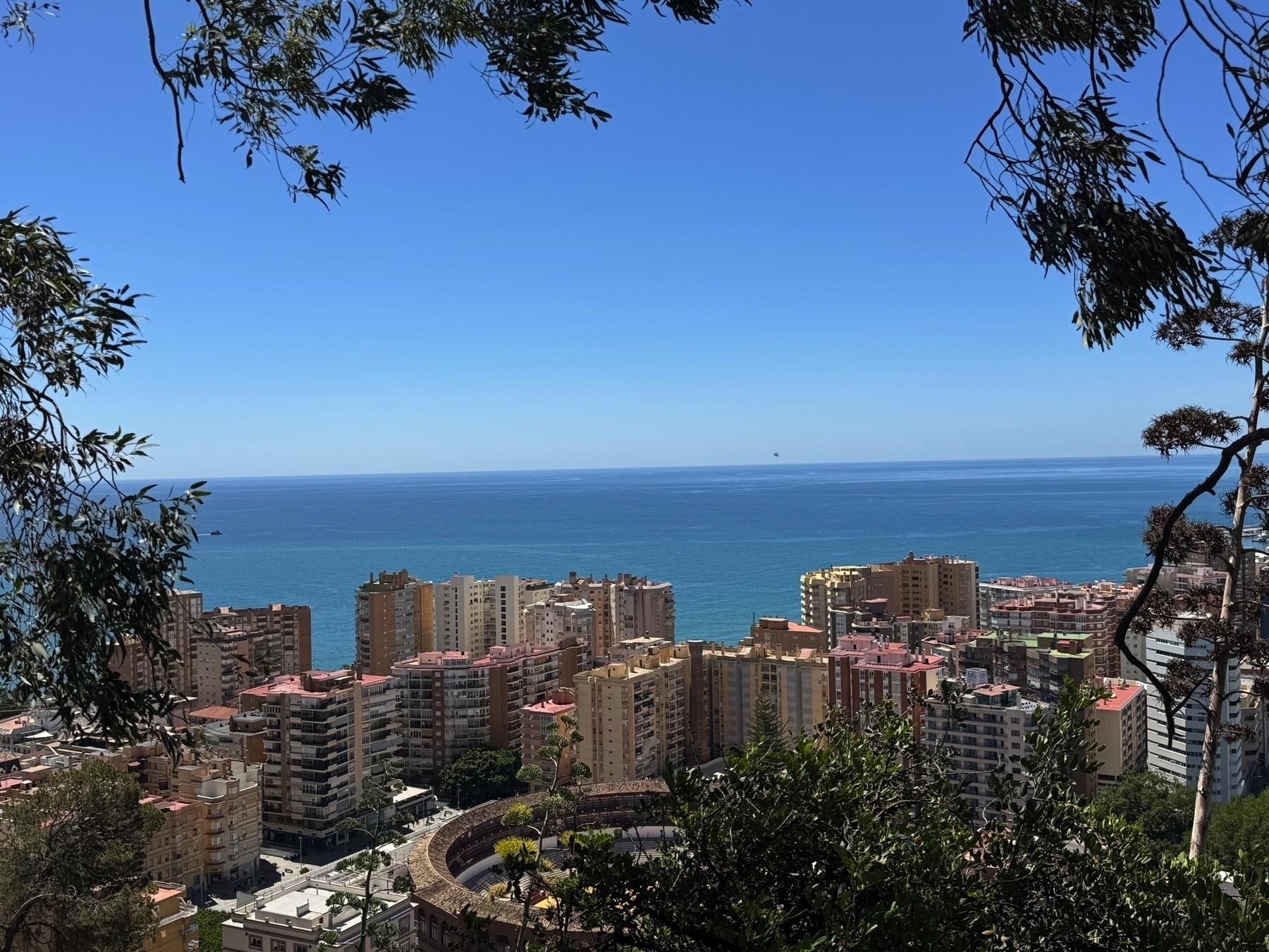 View through trees of the Mediterranean Sea and Málaga’s coastal skyline, with a large circular bullring among modern apartment buildings. The calm, blue water stretches to the horizon beneath a cloudless sky.