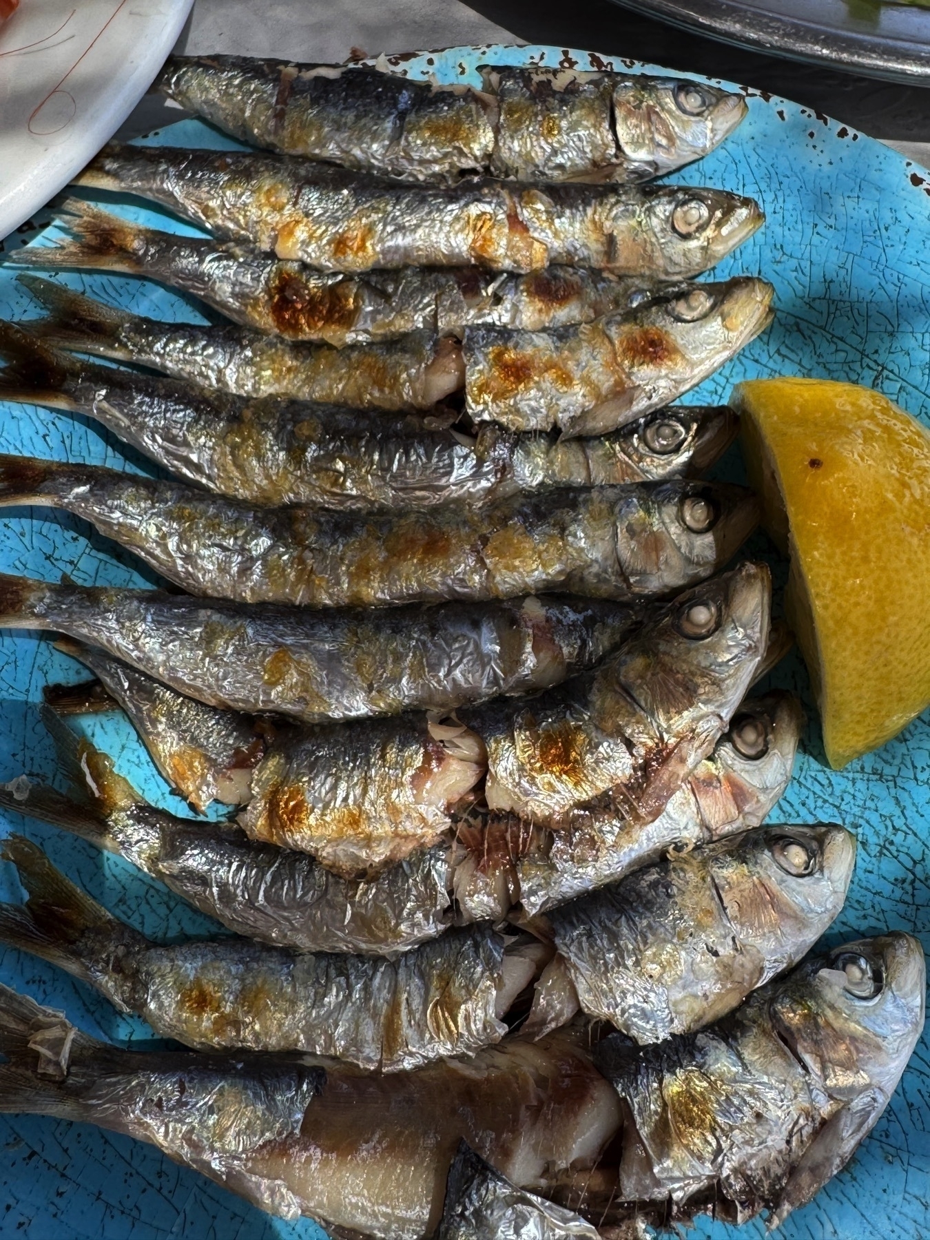 Plate of grilled sardines arranged in neat rows on a rustic blue plate, their silvery skin slightly charred. A lemon wedge is placed to the side for squeezing.
