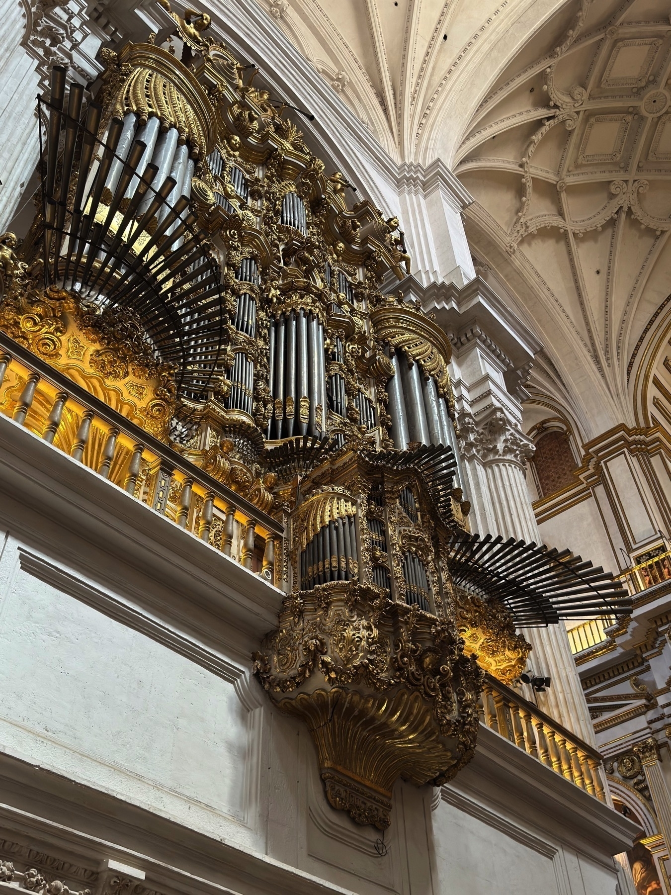Close-up of the cathedral’s opulent pipe organ, mounted above eye level on a gilded platform. A cascade of polished metal pipes fans outward from the ornately carved golden housing, contrasting with the crisp white architecture of the surrounding columns and vaulted ceiling. The composition highlights the grandeur and craftsmanship of the instrument.