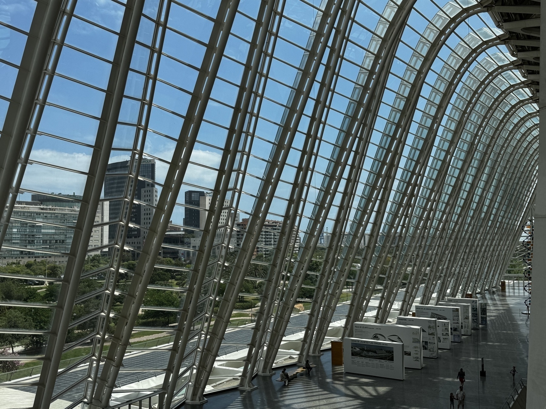 The interior of the Ágora building in Valencia’s City of Arts and Sciences, with its towering, curved glass facade and rhythmic steel ribs framing views of the city skyline—an impressive example of light-filled, modern architectural design.