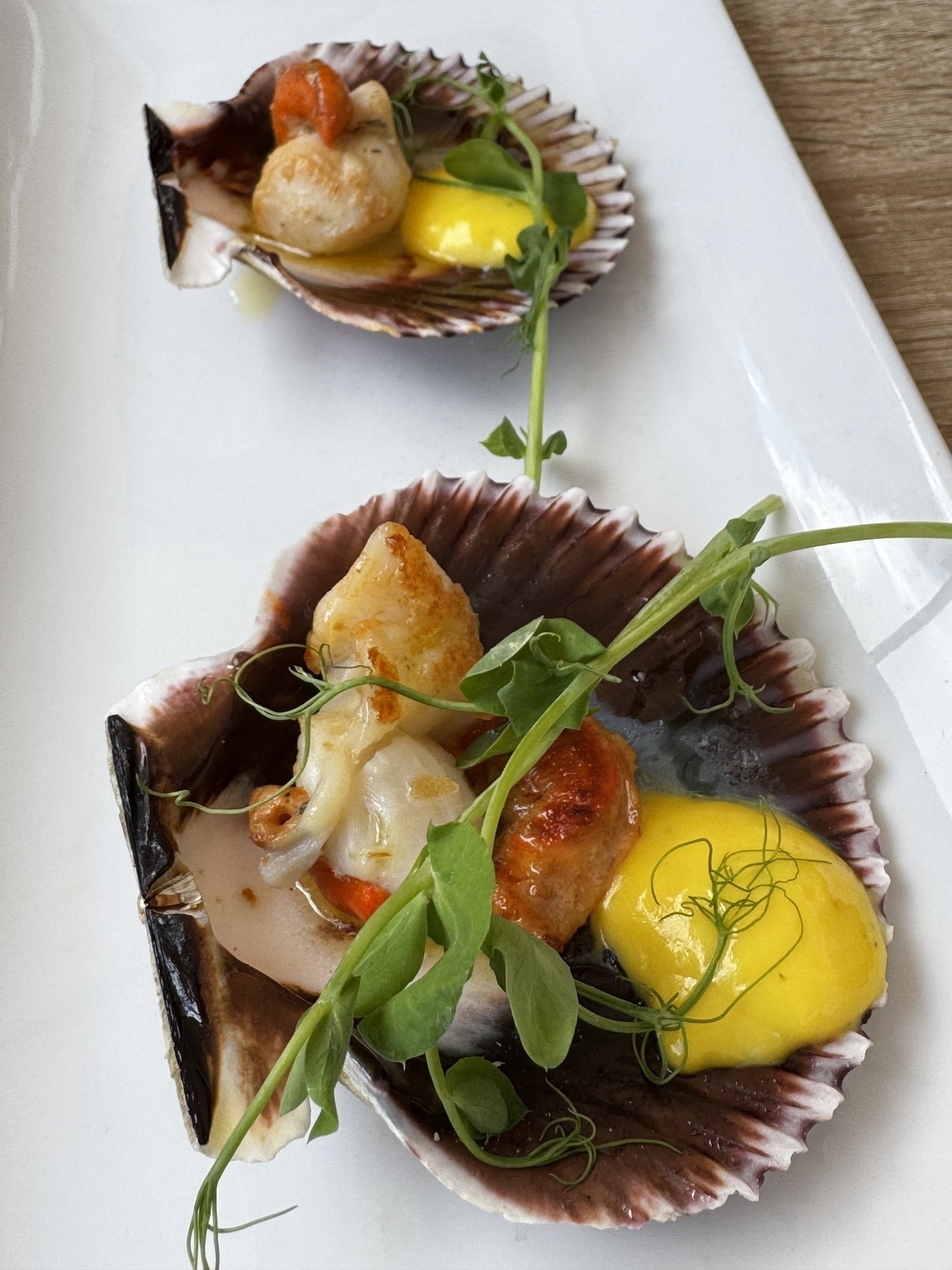 Two beautifully seared scallops nestled in their shells, drizzled with a bright yellow sauce and topped with fresh pea shoots, offering a vibrant, ocean-fresh presentation on a minimalist white plate.