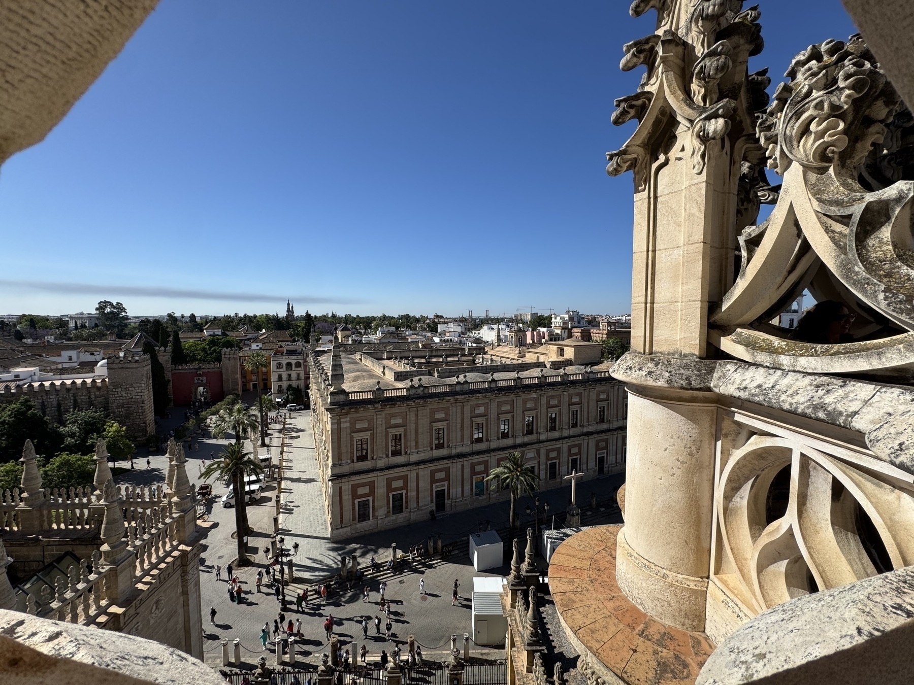 Scenic view from the cathedral’s rooftop over a plaza with palm trees and people walking below, framed by detailed Gothic stonework and capturing the warm morning light across the historic buildings and city rooftops.