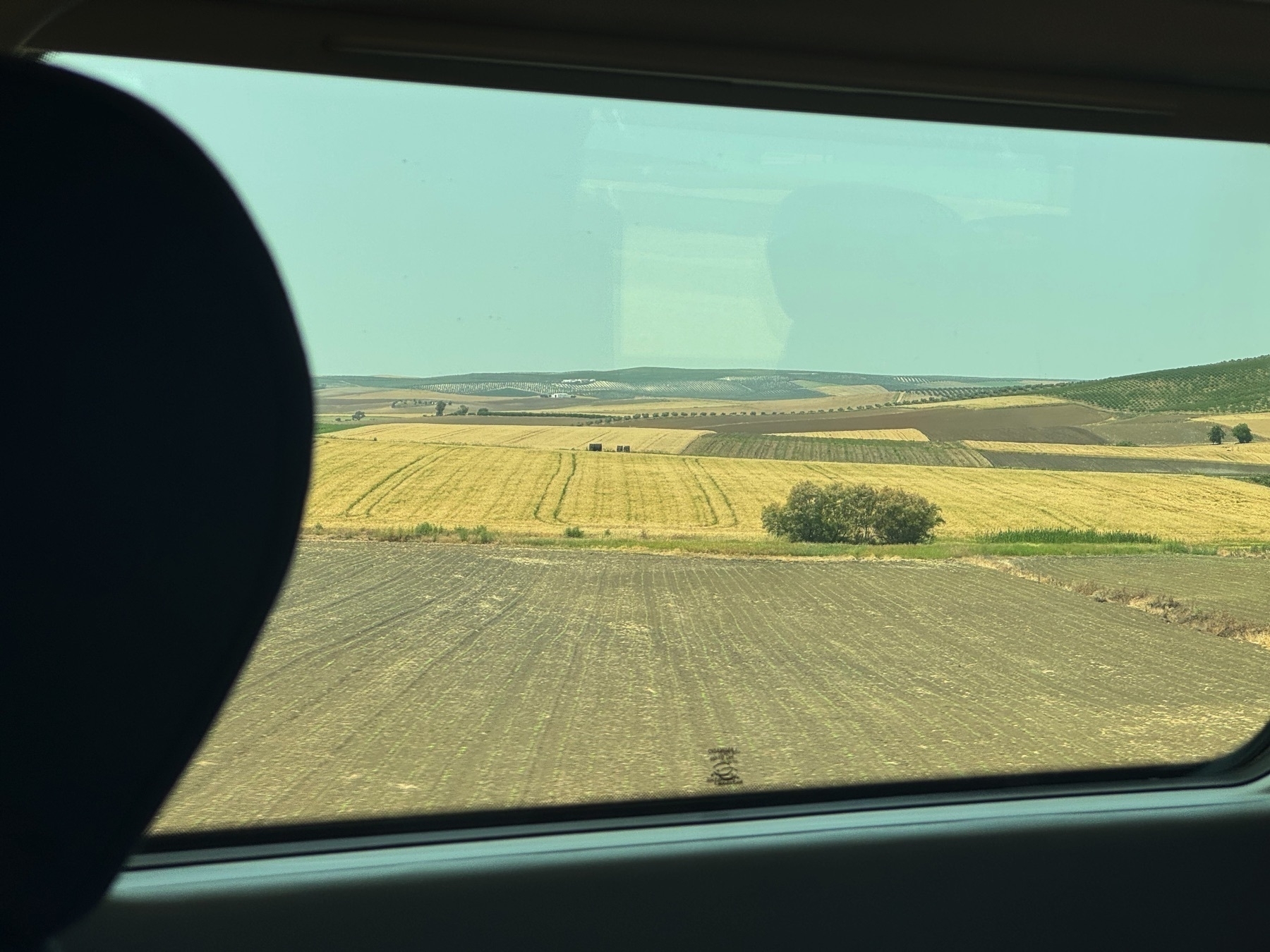 A view through a train window reveals a sweeping agricultural landscape of alternating plowed and harvested fields in shades of brown and yellow. The rhythmic pattern of the farmland is punctuated by a few scattered trees and distant groves, with soft hills rolling into the background under a pale blue sky.