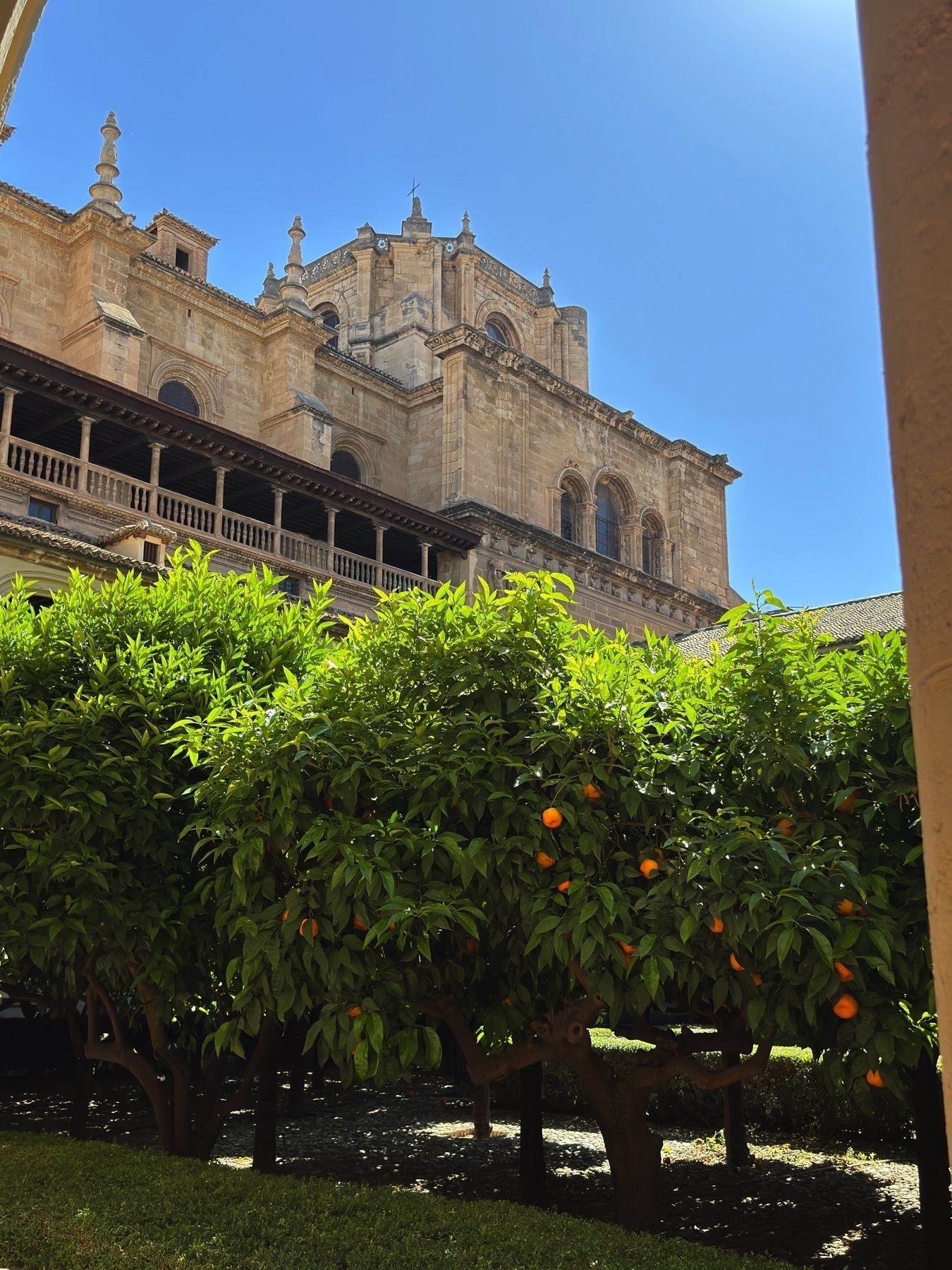Peaceful courtyard garden with neatly trimmed hedges and rows of lush orange trees laden with fruit. In the background, the upper structure of the monastery rises with stone balustrades, arched windows, and decorative pinnacles under a vivid blue sky.