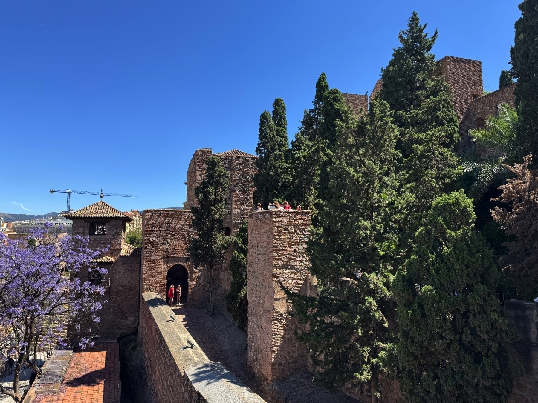 A walkway along the Alcazaba’s outer walls, flanked by stone towers and shaded by tall trees. A flowering jacaranda tree adds a splash of purple to the left, with clear blue sky overhead.