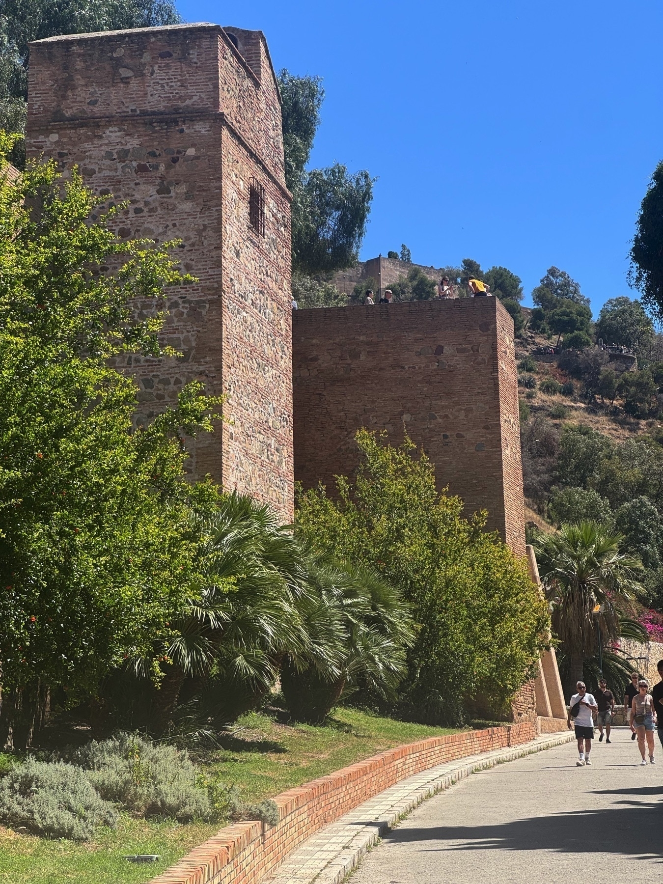 Fortified towers and walls of the Alcazaba seen from a landscaped path below, bordered by palm trees and lush greenery. Visitors walk along the path on a bright, sunny day, approaching the ancient fortress.