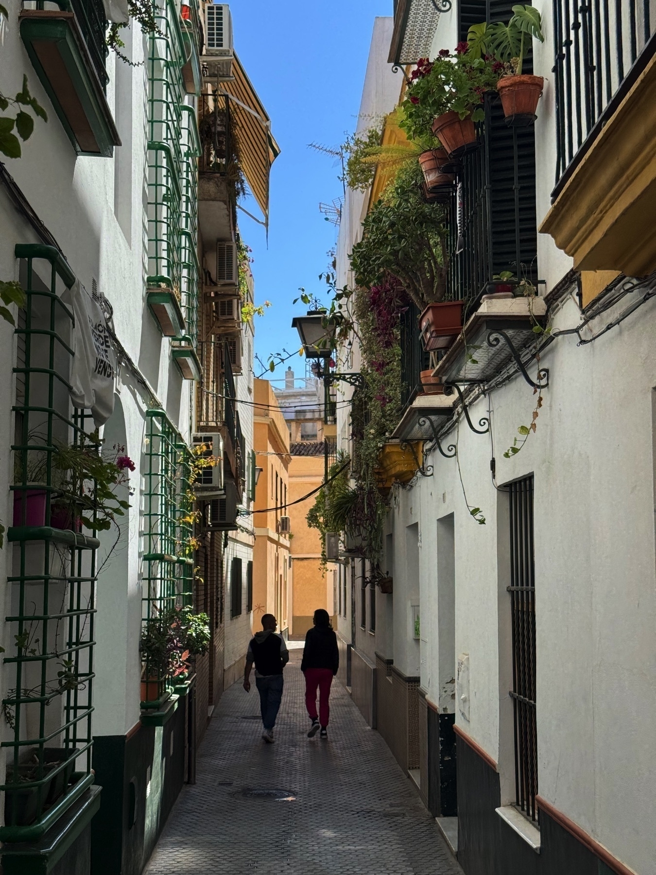 A narrow pedestrian alleyway lined with tall, whitewashed buildings on both sides, each adorned with green wrought-iron balconies and overflowing with potted plants and hanging vines. Two people walk side by side into the sunlit end of the alley, creating a sense of quiet charm in this residential neighborhood.