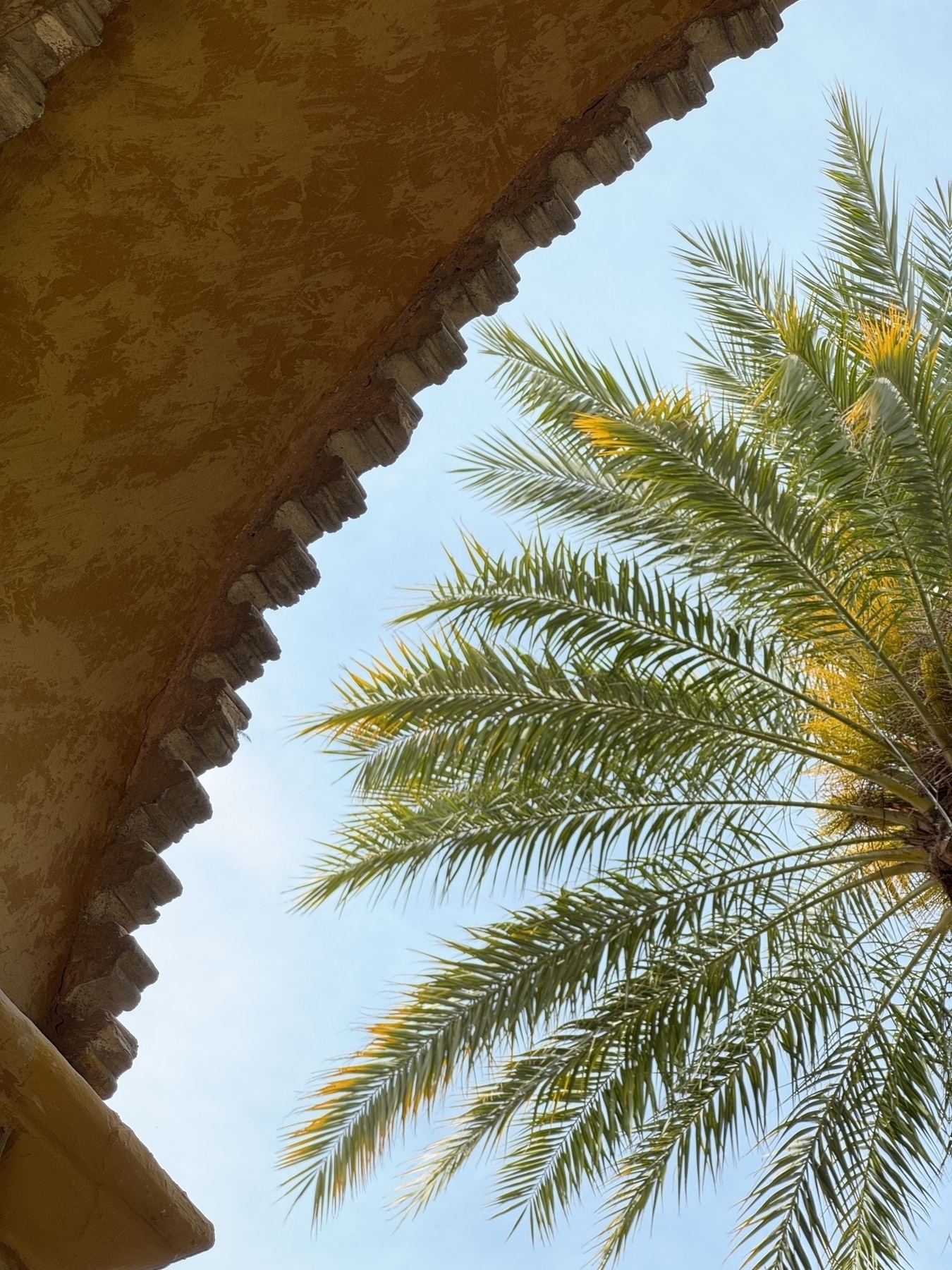 A view looking up at a palm tree framed by the curve of a weathered arch with stone teeth, set against a clear blue sky.