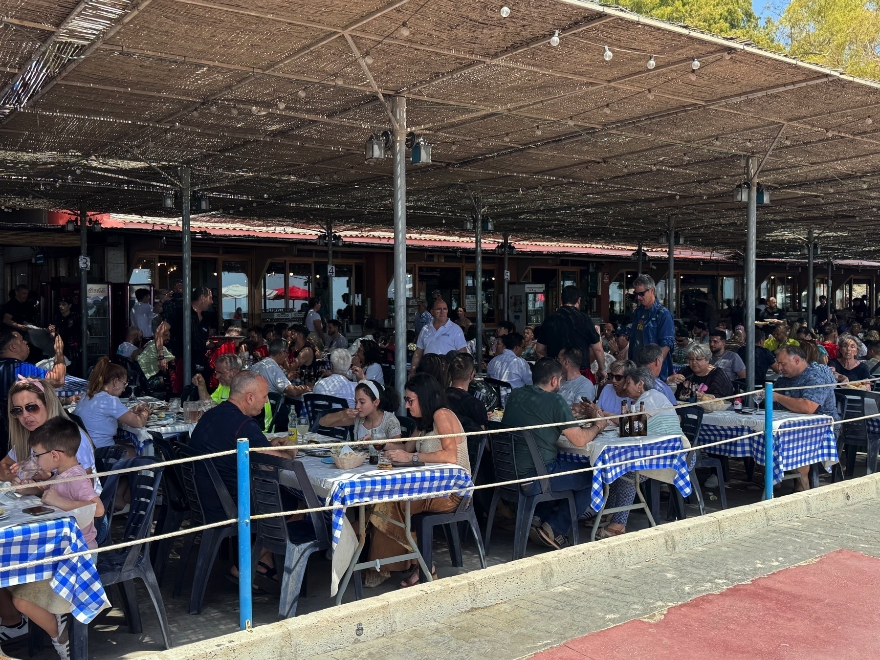 Large open-air seaside restaurant bustling with people seated at rows of blue-and-white checkered tables under a straw canopy. Diners enjoy food in a lively, shaded atmosphere with servers moving between tables.