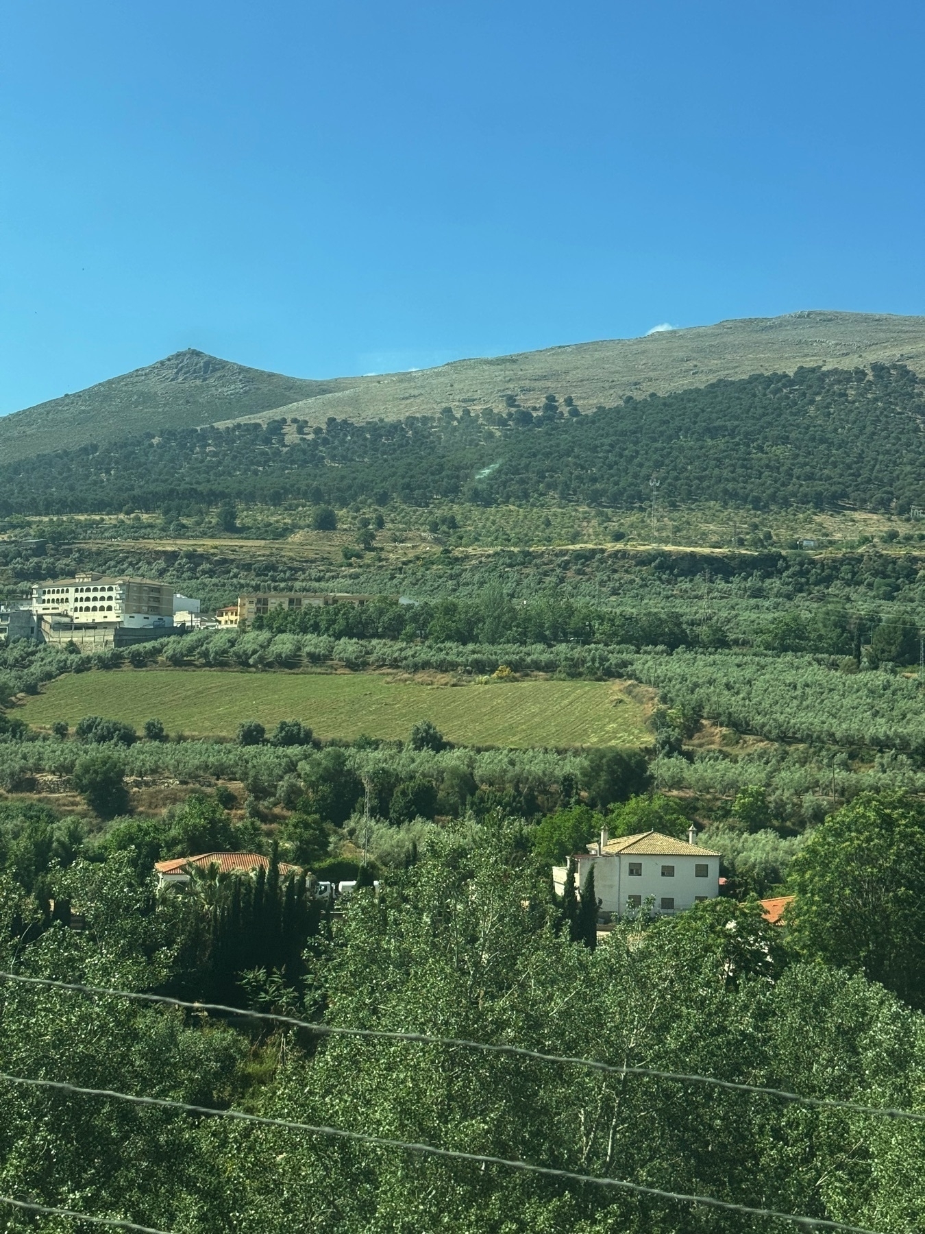 Terraced fields and olive groves spread across a sloping valley, leading up to a rugged mountain peak that rises sharply in the distance. White and tan buildings with tiled roofs are tucked among dense greenery at the base of the hills, with layers of vegetation adding texture and color to the foreground. A crisp blue sky enhances the sense of elevation and openness.