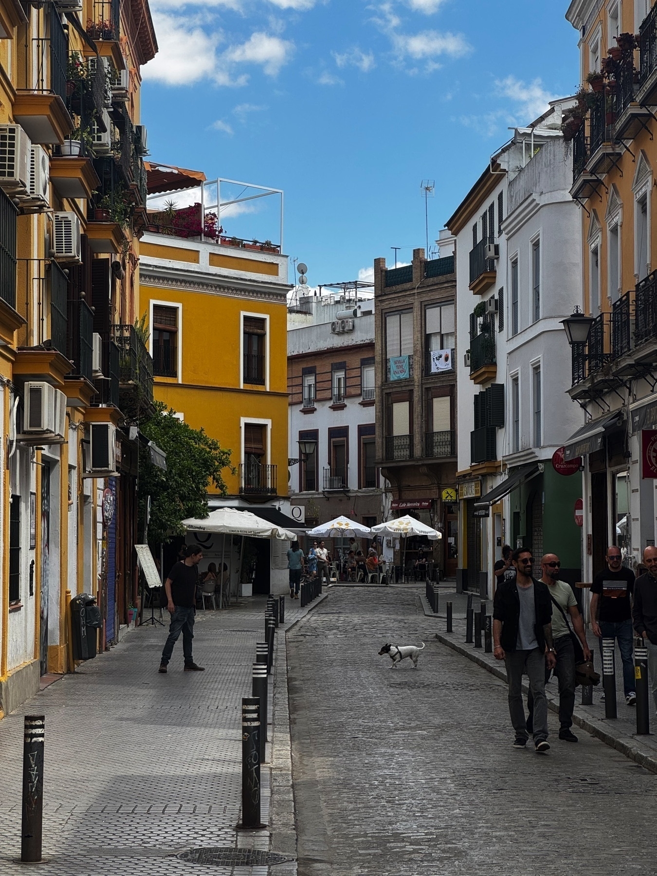 A charming cobblestone street lined with colorful buildings and iron balconies, where people walk and dine at shaded café tables. A small dog crosses the street in the foreground, adding a lively touch to the relaxed atmosphere.