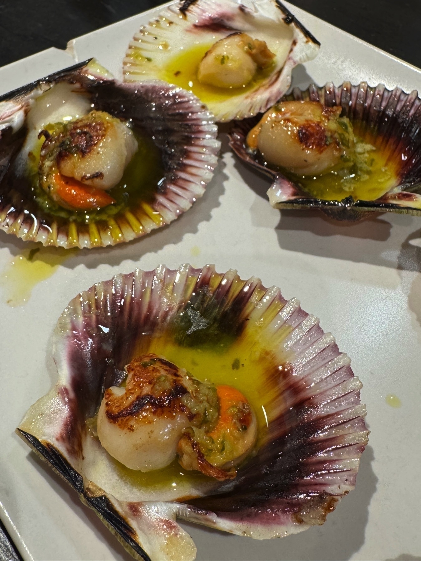 Grilled scallops served in their shells, each delicately charred and topped with minced garlic and olive oil. The shells display natural hues of purple and white, enhancing the seafood’s golden sear and glistening texture. Presented on a white ceramic plate, the dish looks fresh, rich, and flavorful.