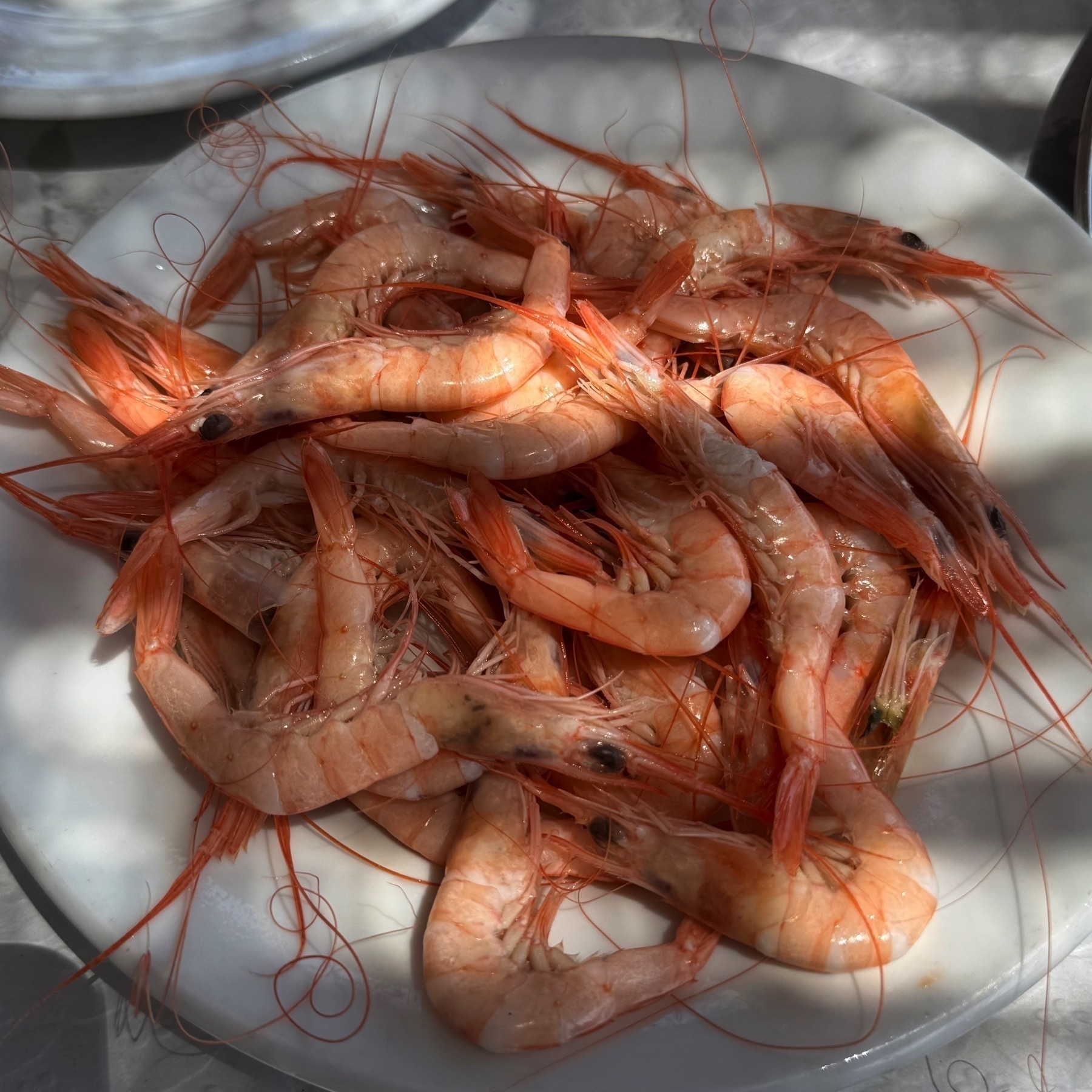 White plate filled with boiled prawns, served whole with heads and shells intact. The shrimp have a fresh pink-orange color and glisten in dappled sunlight.