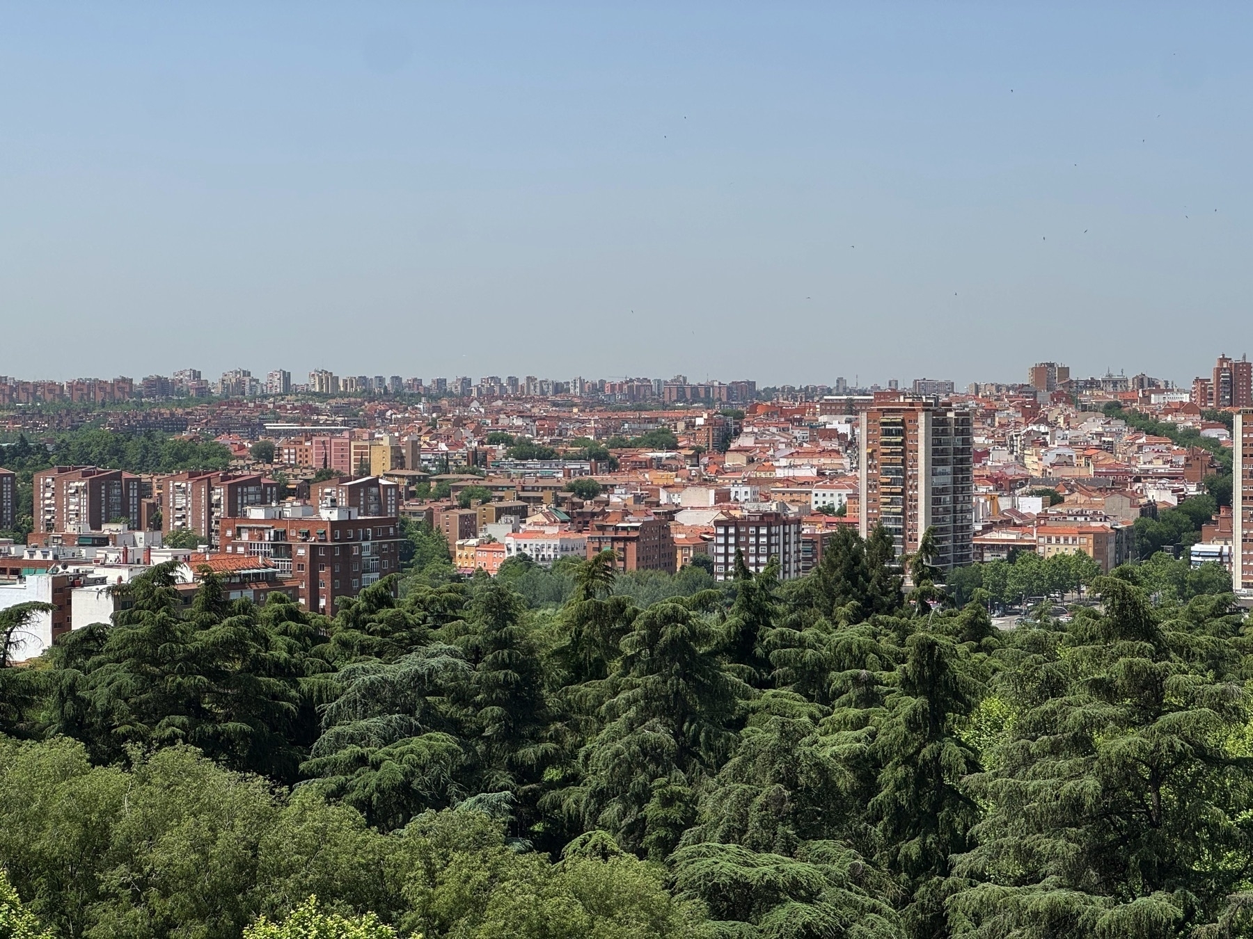 Panoramic view of the Madrid cityscape with dense urban buildings stretching to the horizon. In the foreground, a sea of green treetops forms a natural contrast to the red and brown rooftops and modern high-rises beyond. The clear sky adds depth and vibrancy, enhancing the layered textures of trees, mid-century blocks, and distant towers.