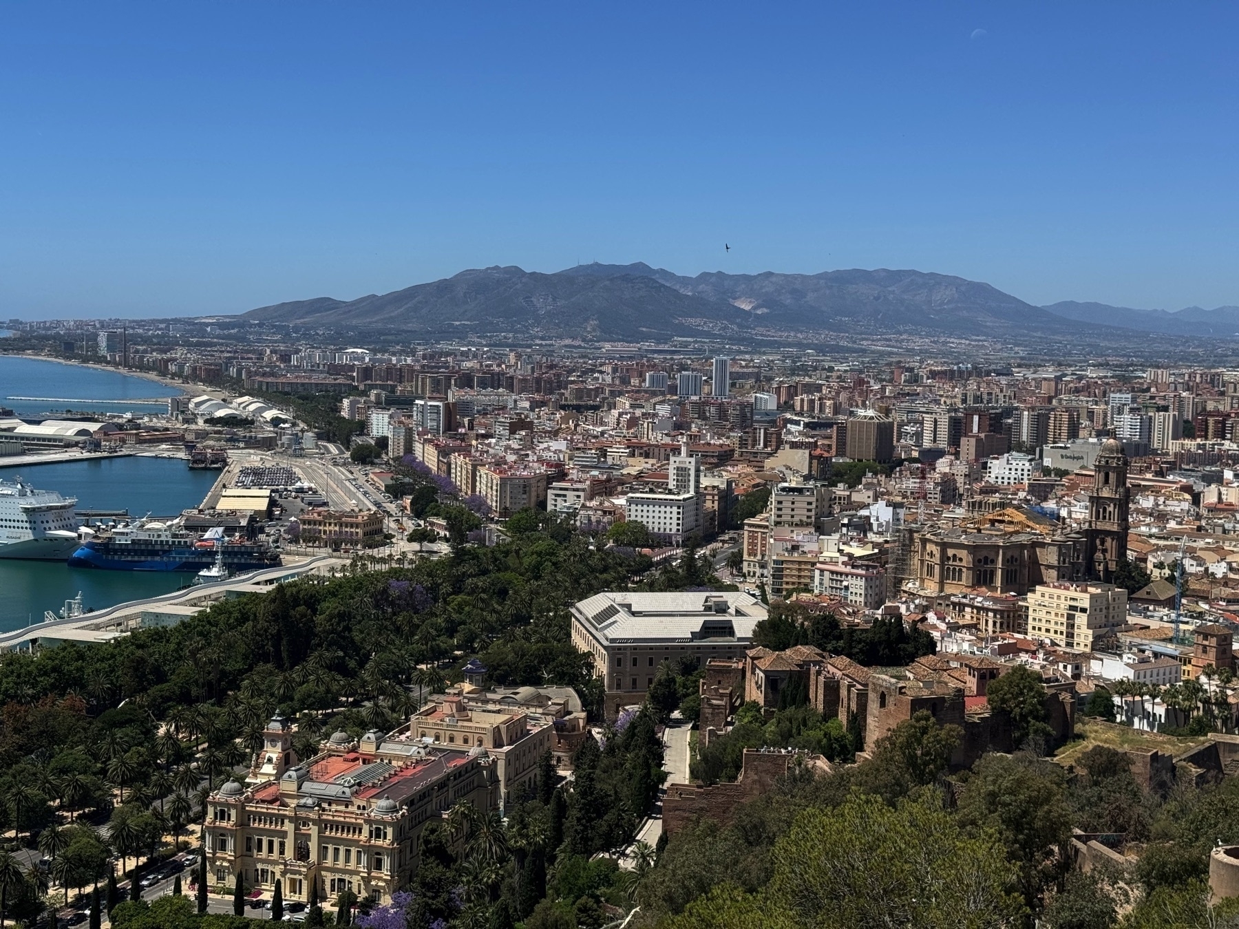 Panoramic view of Málaga from a high vantage point, showing a vibrant cityscape bordered by the Mediterranean Sea on the left and mountains in the background. Notable landmarks include the Málaga Cathedral with its prominent tower, the Alcazaba fortress below it, and the port with docked cruise ships. The foreground features lush greenery and historic buildings, while the sprawling urban area stretches out under a clear blue sky.