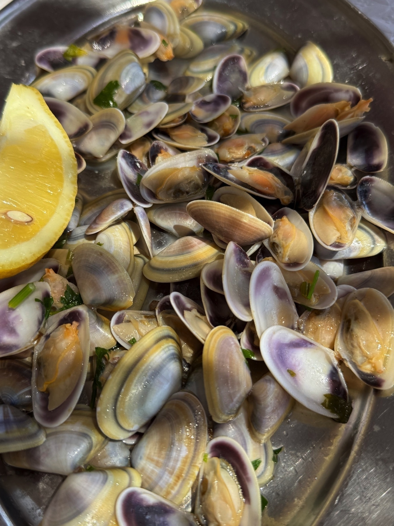 Platter of freshly steamed coquinas (wedge clams) garnished with parsley and served with a lemon wedge. The shells glisten in natural light, showing purple and cream hues.