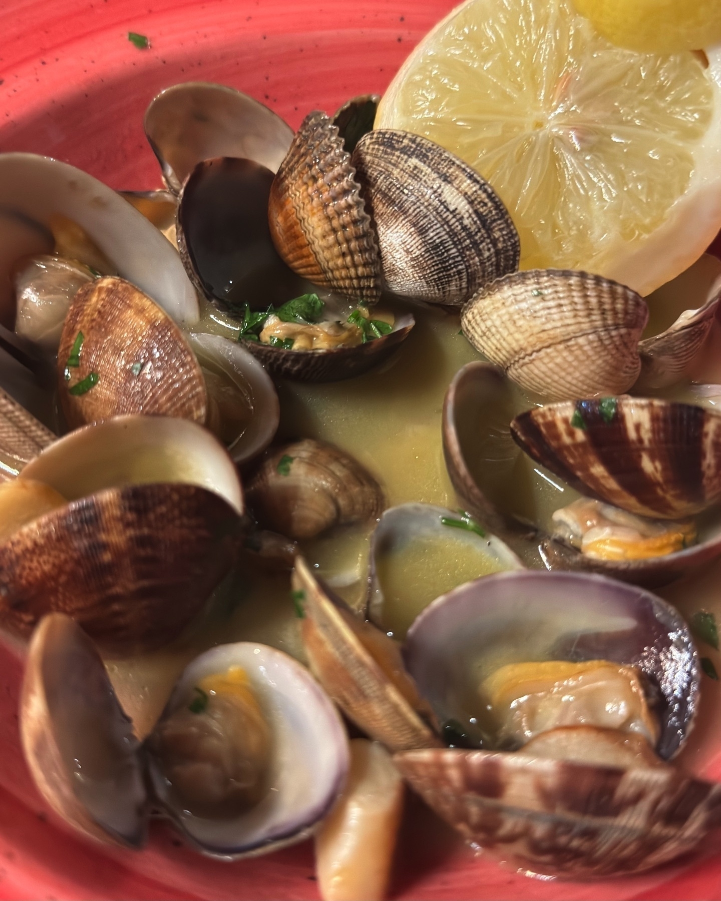 A generous serving of steamed clams in a fragrant broth of garlic, white wine, and herbs. The clamshells are open, revealing tender, juicy meat, with flecks of parsley for color and lemon slices on the side to brighten the flavors. Served in a deep red ceramic bowl.